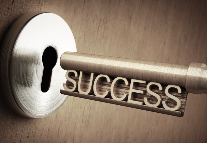 Success Infographic